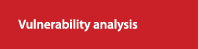 Vulnerability Analysis 