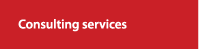 Consulting services 